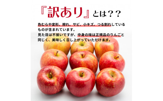 青森県五所川原市のふるさと納税 【2024年11月下旬発送】 サンふじ青森 訳あり りんご 10kg 程度 五所川原 不揃い