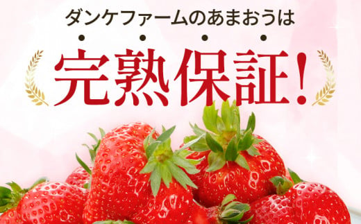 福岡県田川市のふるさと納税 福岡県田川市産 あまおう 約275g×4パック いちご 苺