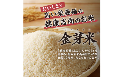 令和4年度米 金芽米特別栽培米農林48号2kg×２ - 山梨県北杜市