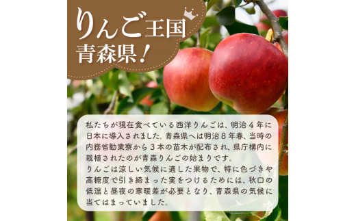 青森県五所川原市のふるさと納税 【2024年11月下旬発送】 サンふじ青森 訳あり りんご 10kg 程度 五所川原 不揃い