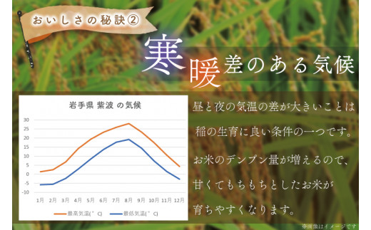 AD016-1 〈寄付額・期間限定〉ひとめぼれ10kg（5kg×2袋）【12ヶ月連続