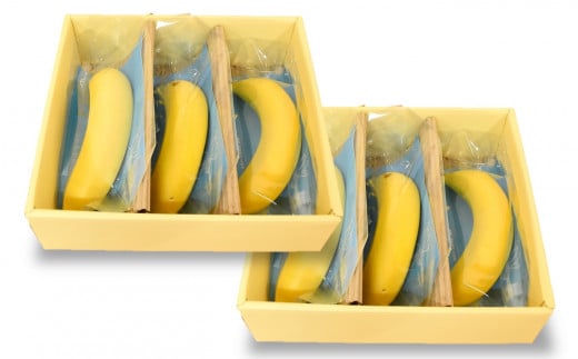 雪国新潟産バナナ】6本（700g）濃厚な甘さともっちり食感！安心安全の 