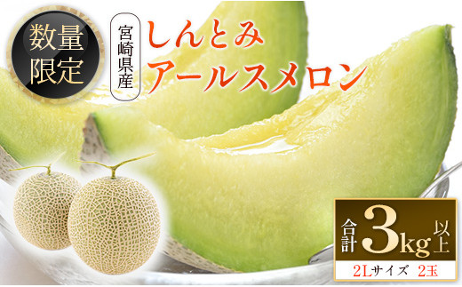＜数量限定＞しんとみアールスメロン 2L2玉 計3kg以上 先行予約 国産 フルーツ 果物 宮崎県産 ※2025年11月〜12月の期間内に出荷【B520-01】