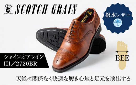 スコッチグレイン紳士靴「シャインオアレインIII」NO.2720BR 23.5cm1372