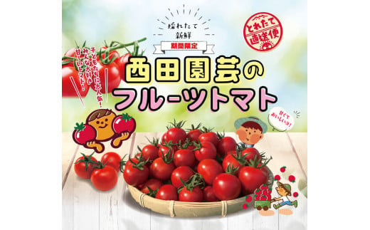 1403 フルーツトマト 1.6kg×2箱 1035911 - 鳥取県鳥取市