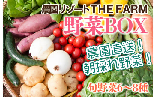 THE FARMの 野菜 詰め合わせセット こだわり厳選した旬な野菜をお届け!【1263207】 331972 - 千葉県香取市