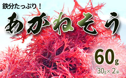 鉄分たっぷりの海藻 あかねそう（乾燥） 30g×2袋 422469 - 徳島県海陽町