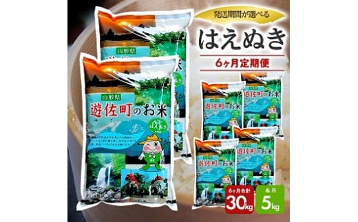1060T12　【定期便】遊佐産はえぬき5kg×6ヶ月連続（12月～5月） 1472632 - 山形県遊佐町
