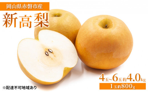 梨 2025年 先行予約 新高梨 4玉～6玉 約4.0kg（1玉約800g）岡山県赤磐市産【配達不可：離島】 なし フルーツ 果物 ナシ 果物類