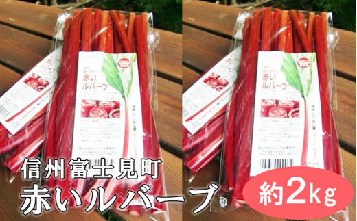 【先行受付】富士見町の赤いルバーブ約2kg（500g×4袋） 2024年5月末より順次発送 724497 - 長野県富士見町