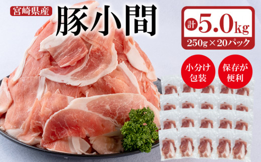 宮崎県産豚肉 小間切れ 小分け 250g×20パック 合計5kg 炒め物など＜1.7-22＞　