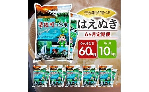 1062T10　【定期便】遊佐産はえぬき10kg×6ヶ月連続（10月～3月） 1472769 - 山形県遊佐町