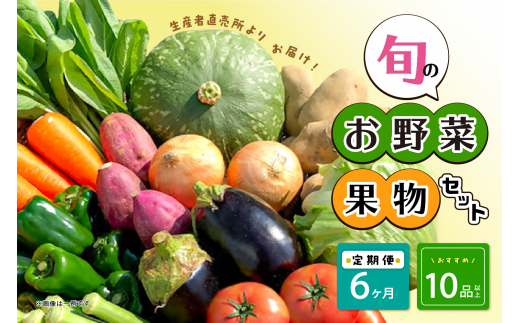 【毎月6ヶ月定期便】生産者直売所よりお届け！おまかせ旬のお野菜・果物セット！ おすすめ10品以上