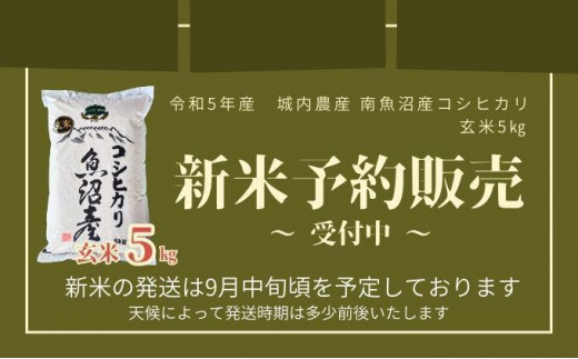 新米予約】新潟県 南魚沼産 コシヒカリ お米 こしひかり 玄米 のし