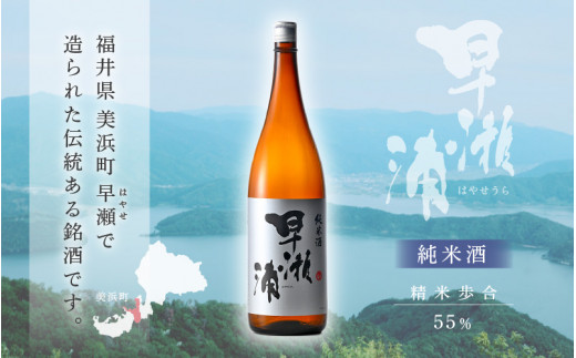 m16-c010] 【早瀬浦】純米酒 1800ml × 3本【日本酒 地酒 福井 美浜