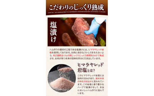 特選 ハム ソーセージ スペシャルセット 10種 肉 豚肉 ロースハム