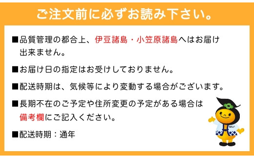 P585-10 JAにじ あまおうアイス10個セット