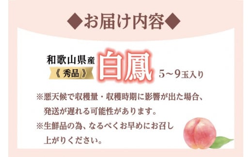 和歌山県産 白鳳 5～9玉入り 秀品 先行予約【2024年6月下旬以降発送