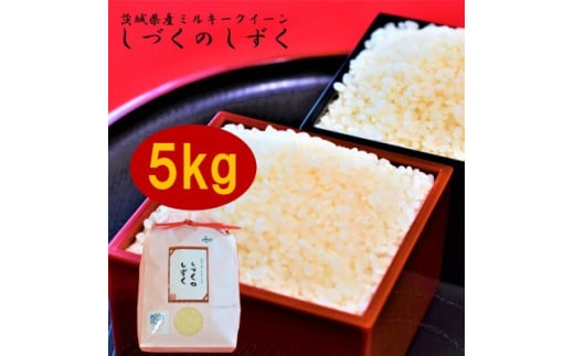 もっちり甘い! 　茨城県ミルキークイーン　しづくのしずく　5kg【1102648】