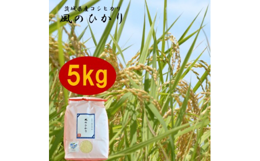 茨城県産コシヒカリ風のひかり5kg【1342907】