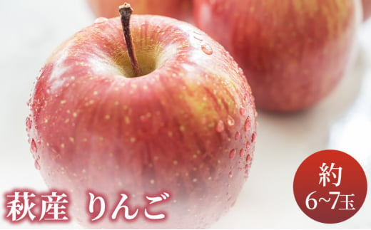 [№5226-0201]リンゴ 詰め合わせ 萩りんご 萩産 季節の品種 約6～7玉 585846 - 山口県萩市