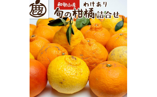 ＜1月より発送＞家庭用 旬の柑橘詰合せ 4kg+120g（傷み補償分）訳あり 596097 - 和歌山県高野町