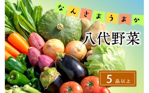 なんさまうまか八代野菜セット 5品以上 やさい 詰め合わせ 熊本県産