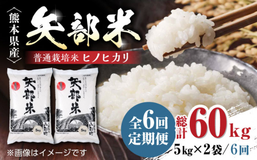 全6回定期便】令和4年産 矢部米 普通栽培米 10kg【一般社団法人 山都町