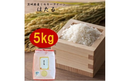 茨城県産ミルキークイーンほたる5kg【1342893】
