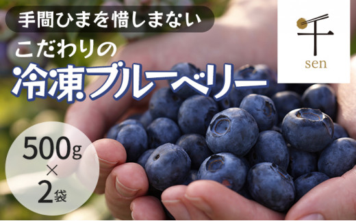 冷凍こだわりブルーベリー 500g×2[フルーツ 冷凍 1kg 千ブランド ]