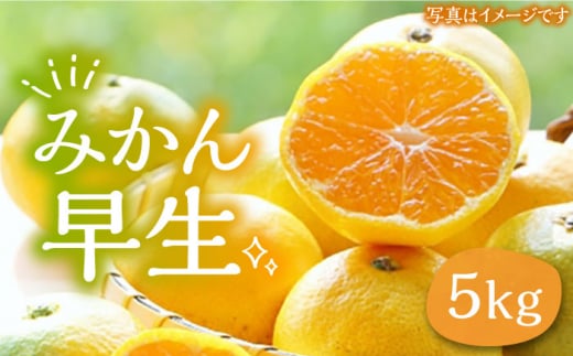 ミカン 早生 5kg《豊前市》【山田農場 フルーツランド】ミカン みかん 早生みかん [VCY008] 1033986 - 福岡県豊前市