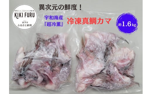 異次元の鮮度！宇和海産『超冷薫』冷凍真鯛カマ 605247 - 愛媛県西予市
