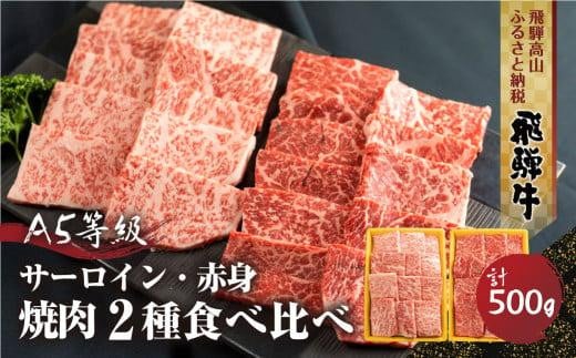 2種食べ比べ焼肉！飛騨牛 A5等級  ( サーロイン250ｇ＋赤身もも 250ｇ)  500g 丹生川精肉 TR4018 593065 - 岐阜県高山市