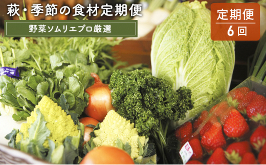 萩市 萩物産協会」のふるさと納税 お礼の品一覧【ふるさとチョイス】