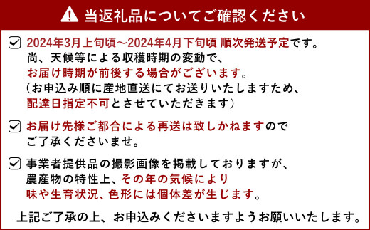 プロモーション ひがし様 ご確認用 - スカート