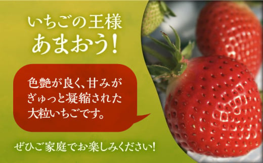 あまおう G(グランデ) 300g×4P 1.2kg 2箱《豊前市》【山田農場 フルーツランド】 いちご イチゴ 苺 [VCY014]