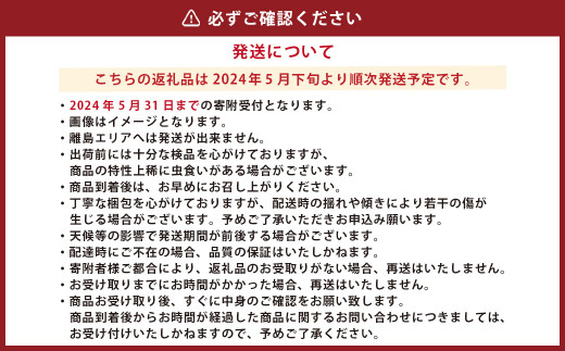 【2024年5月下旬発送開始】熊本県産 スイートコーンとフルーツトマト