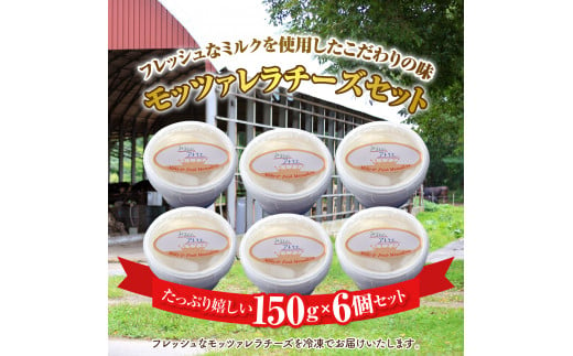 モッツァレラチーズ6個入セット（冷凍）