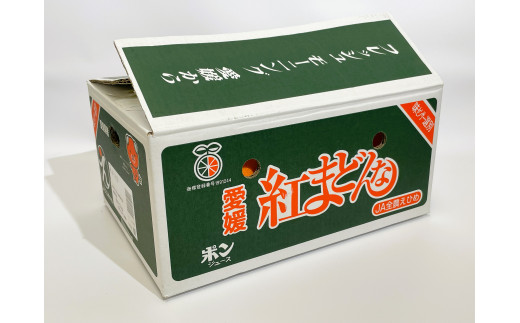 みかん 愛媛 紅まどんな（4.8kg） 人気 数量限定 先行予約 柑橘 伊予市｜C06|株式会社　郵便局物販サービス