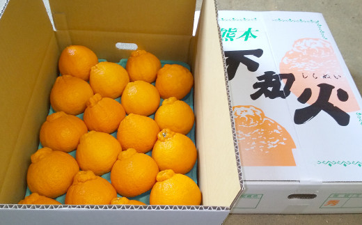 不知火 約5kg（15～22玉）ひがし果樹園 柑橘 果物