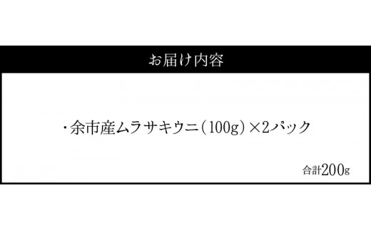 塩水ウニ【ムラサキウニ】 100g×2パック 計200g 2024年夏発送 北海道