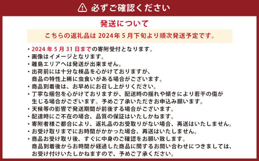 【2024年5月下旬発送開始】熊本県産 スイートコーン 約3.5kg