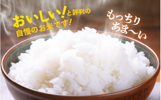 m26-b008] 令和5年産 松原おんちゃん米 特別栽培米 コシヒカリ（玄米