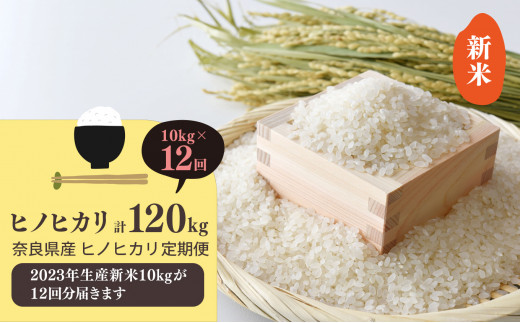 N10 【定期便】新米 奈良県産 ひのひかり 精米 10kg × 12回 合計 120kg (12回お届け)