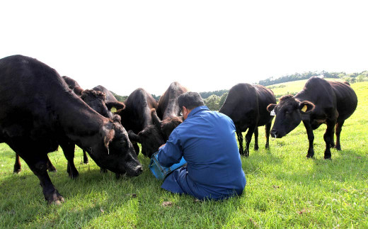 A5等級 鹿児島県産 黒毛和牛 サーロインステーキ 400g(200g×2)