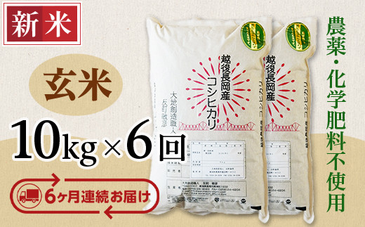 E1-16【3ヶ月連続お届け】新潟県長岡産コシヒカリ玄米10kg - 新潟県