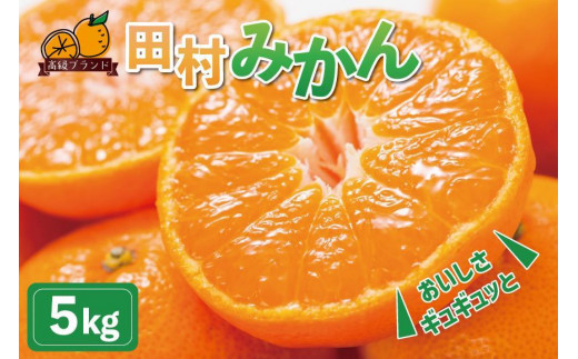 高級ブランド田村みかん 5kg 584378 - 和歌山県印南町