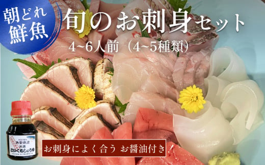 産地直送 氷見漁港 朝どれ鮮魚お刺身セット(4-6人前) お届け曜日指定なし 本州配送限定 富山県 氷見市 刺身 セット 旬の鮮魚 詰め合わせ 富山湾 海の幸 柵 鮮魚 お魚 刺し身 さしみ