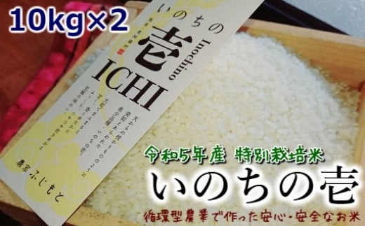 [B008-059108]令和5年産特別栽培米 いのちの壱(白米)10kg×2