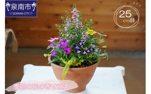 季節の花の寄せ植え 25㎝鉢【005D-005】 214332 - 大阪府泉南市